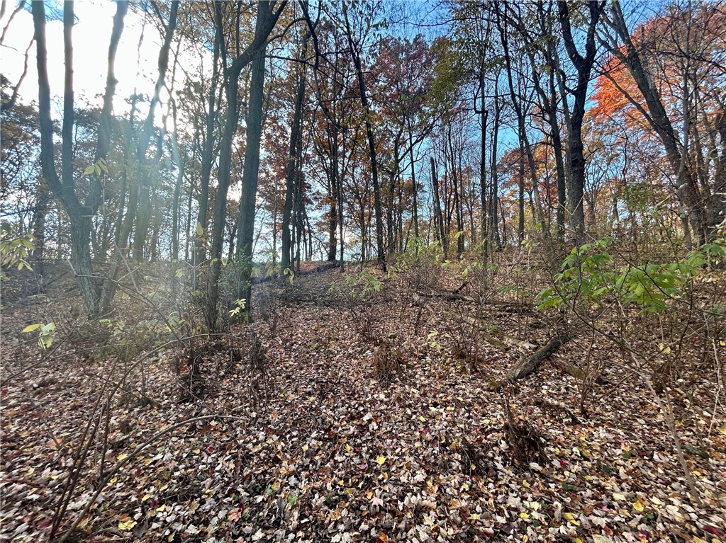 Tbd 125th Street Property Photo 15