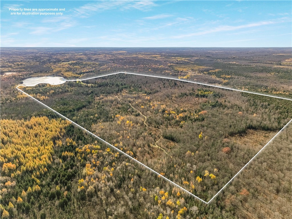 23274 Kubley Road Property Photo 41
