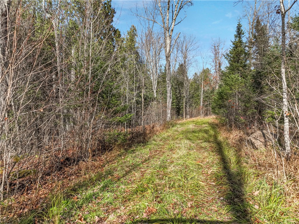 23274 Kubley Road Property Photo 49