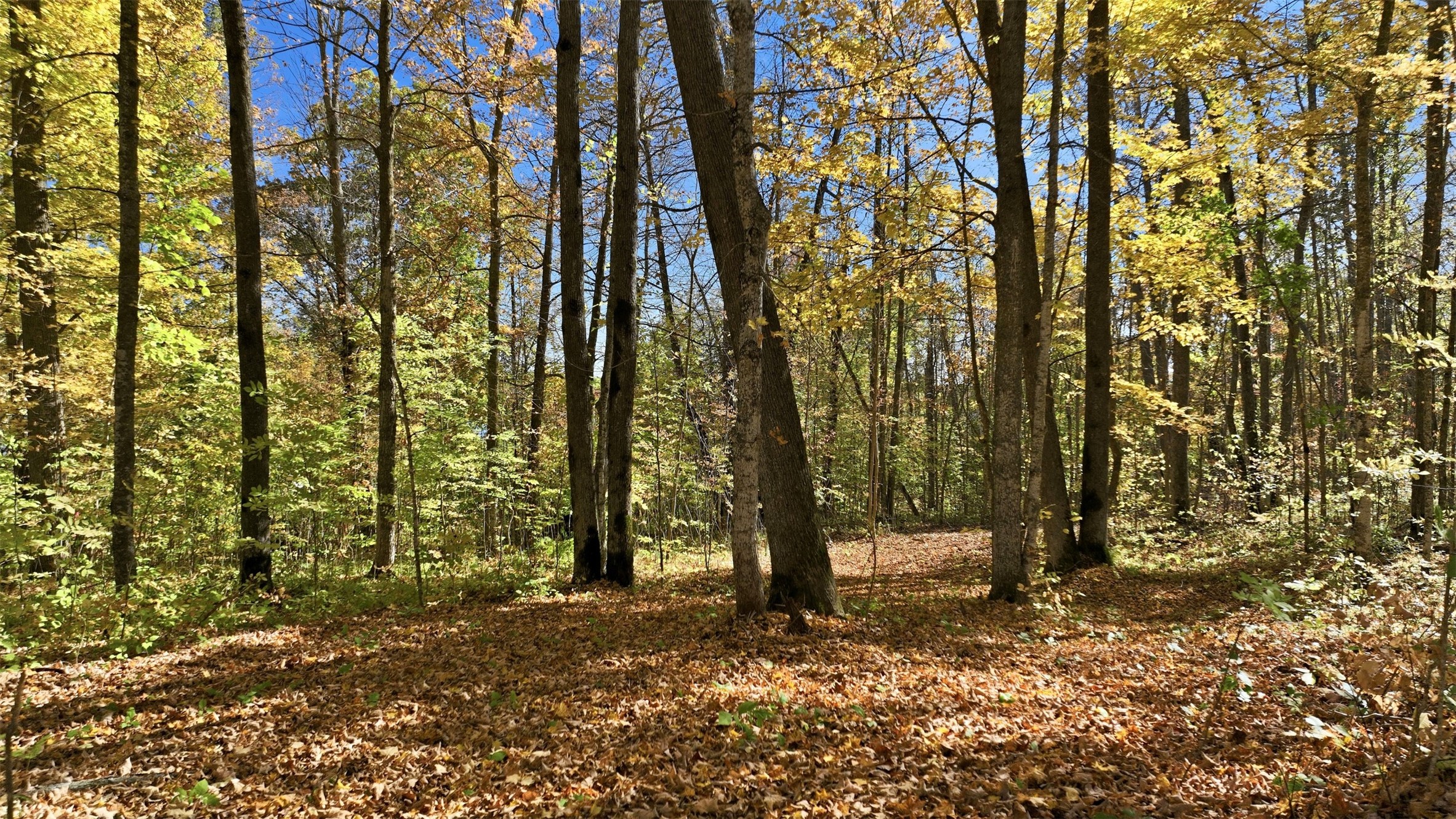 Lot 1 County Highway F Property Photo 2