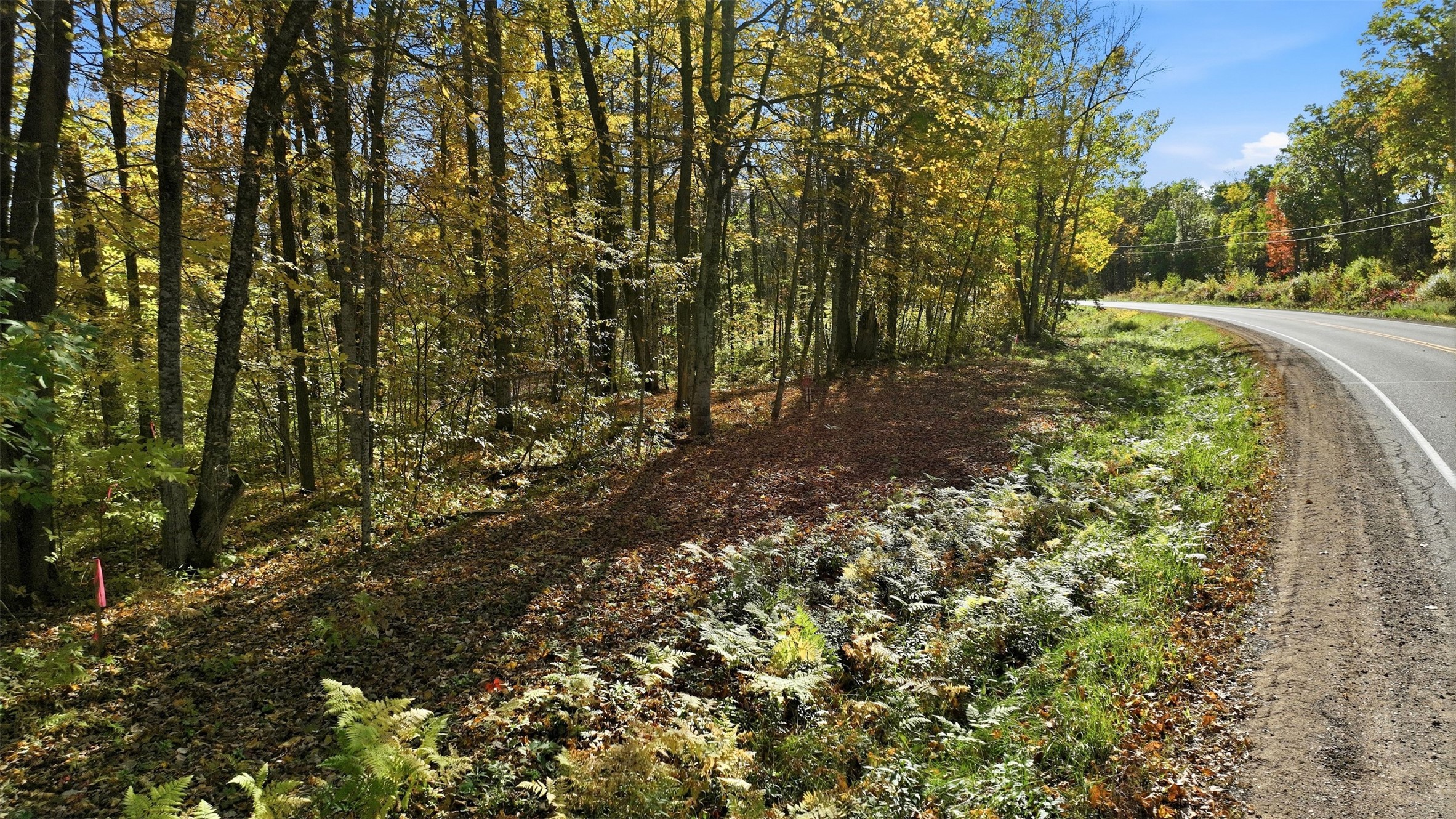 Lot 1 County Highway F Property Photo 3