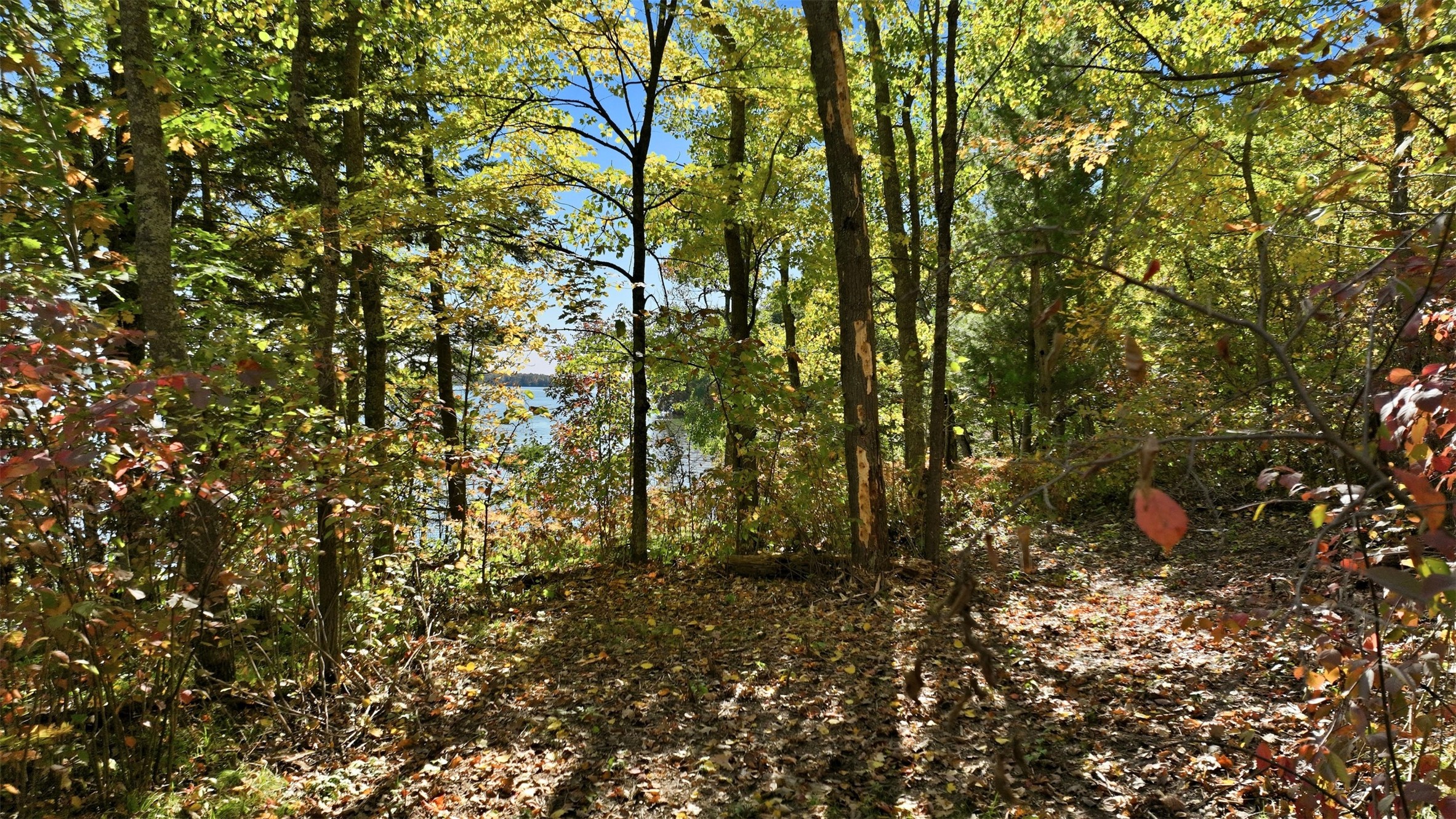Lot 1 County Highway F Property Photo 6