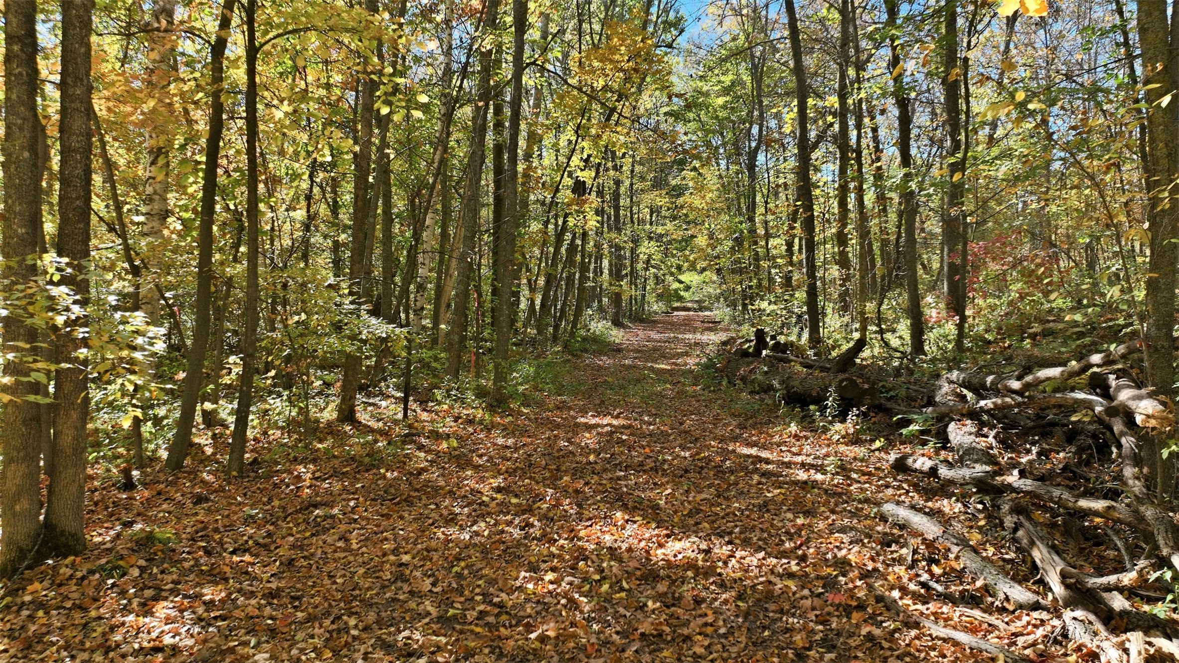 Lot 1 County Highway F Property Photo 7