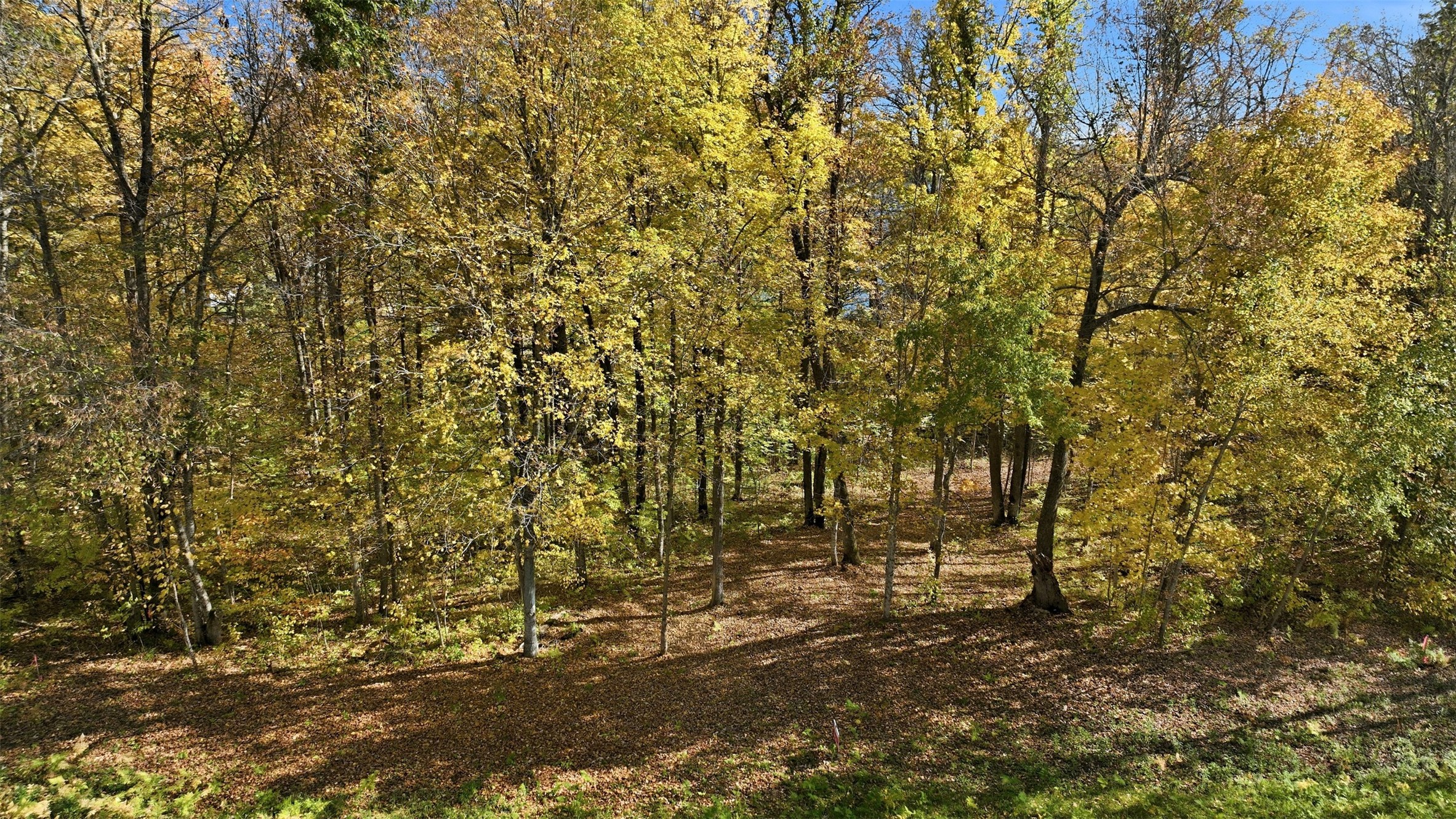 Lot 1 County Highway F Property Photo 8