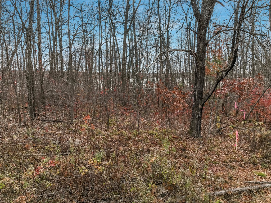 Lot 1 County Highway F Property Photo 10