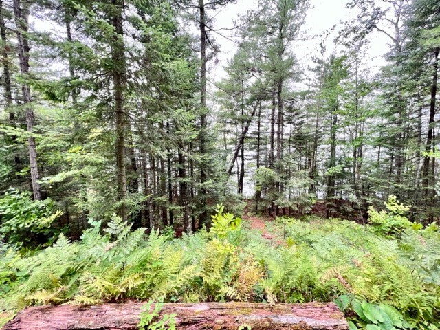9102 N County Rd E Property Photo 3