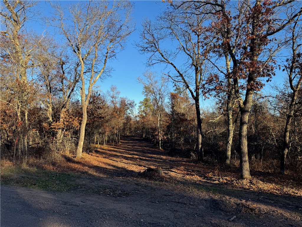 Lot 1 Sandy Shores Drive Property Photo 25