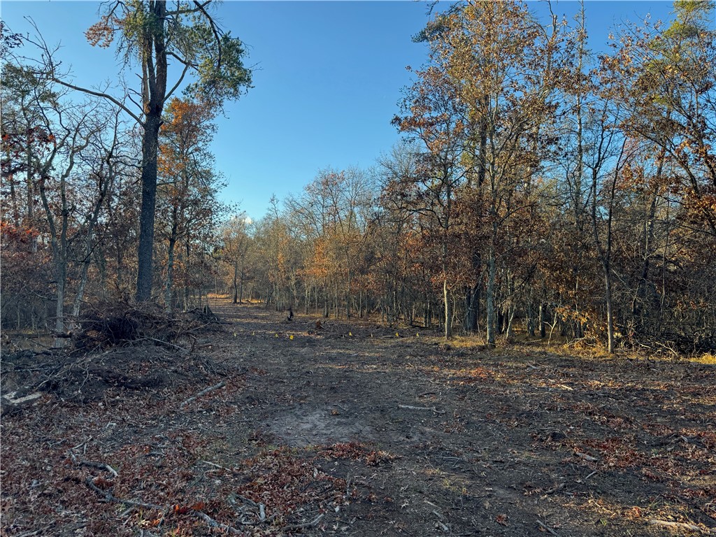 Lot 1 Sandy Shores Drive Property Photo 29