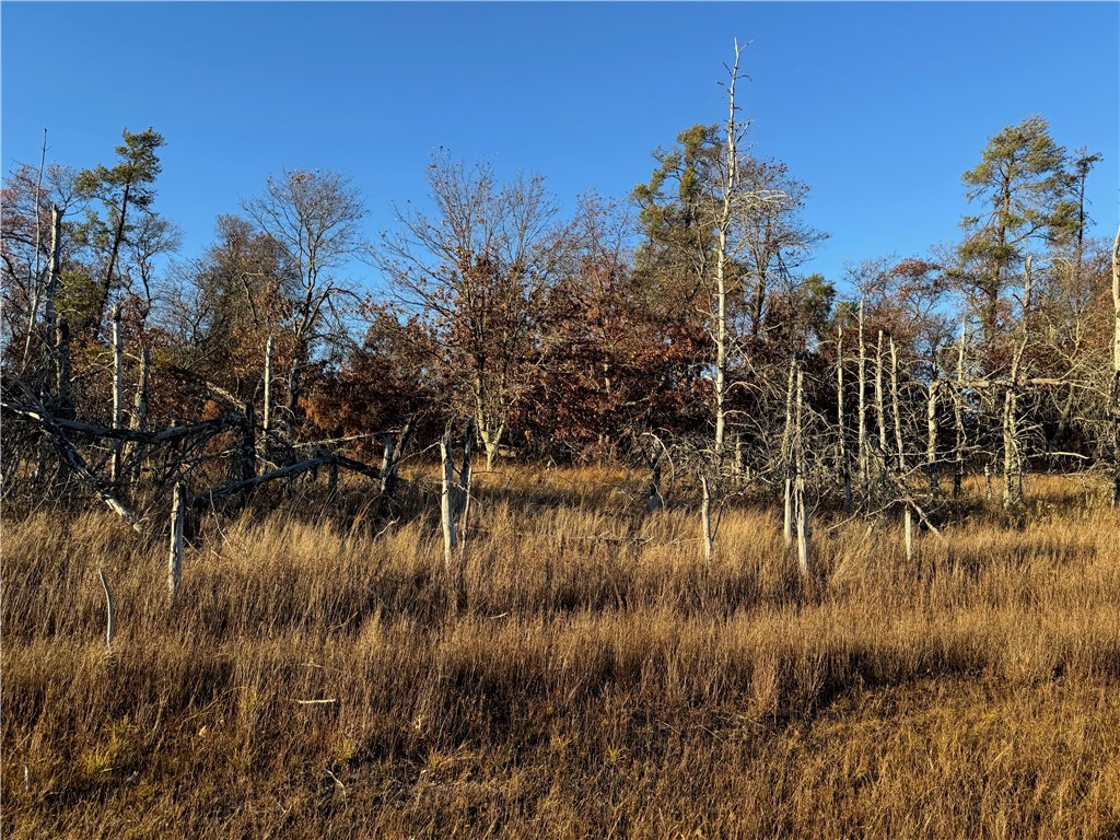 Lot 2 Sandy Shores Drive Property Photo 31