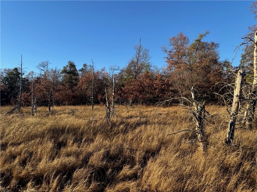 Lot 2 Sandy Shores Drive Property Photo 34