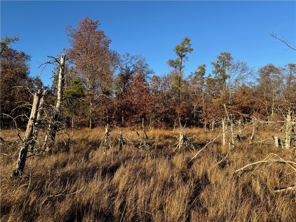 Lot 2 Sandy Shores Drive Property Photo 35