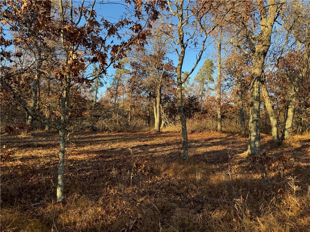 Lot 2 Sandy Shores Drive Property Photo 39