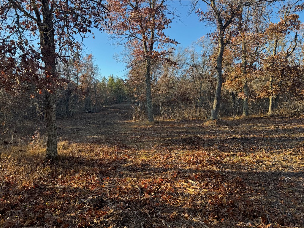 Lot 2 Sandy Shores Drive Property Photo 40