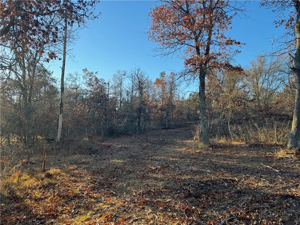 Lot 2 Sandy Shores Drive Property Photo 41