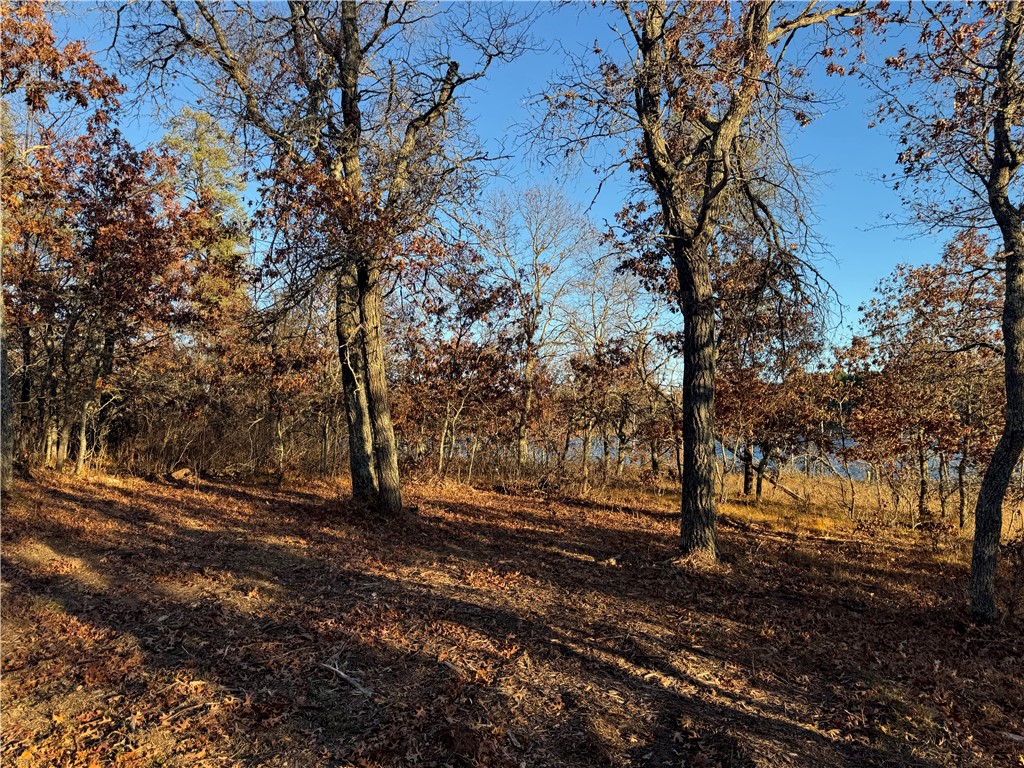Lot 2 Sandy Shores Drive Property Photo 42