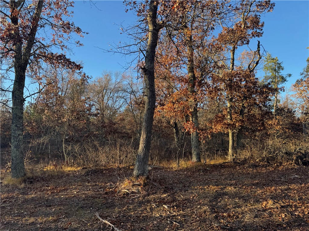 Lot 2 Sandy Shores Drive Property Photo 43
