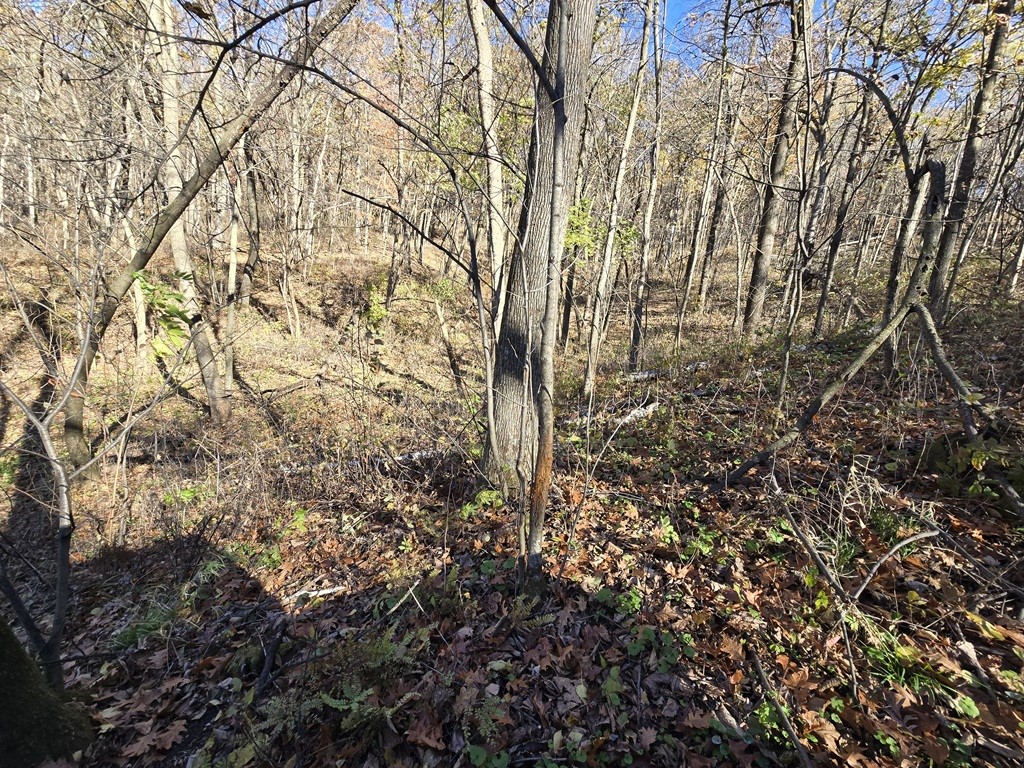 0 County Kk Property Photo 24