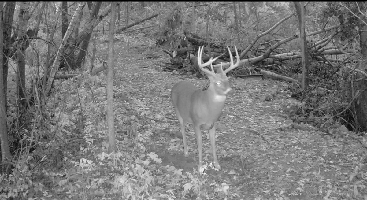 0 County Kk Property Photo 56