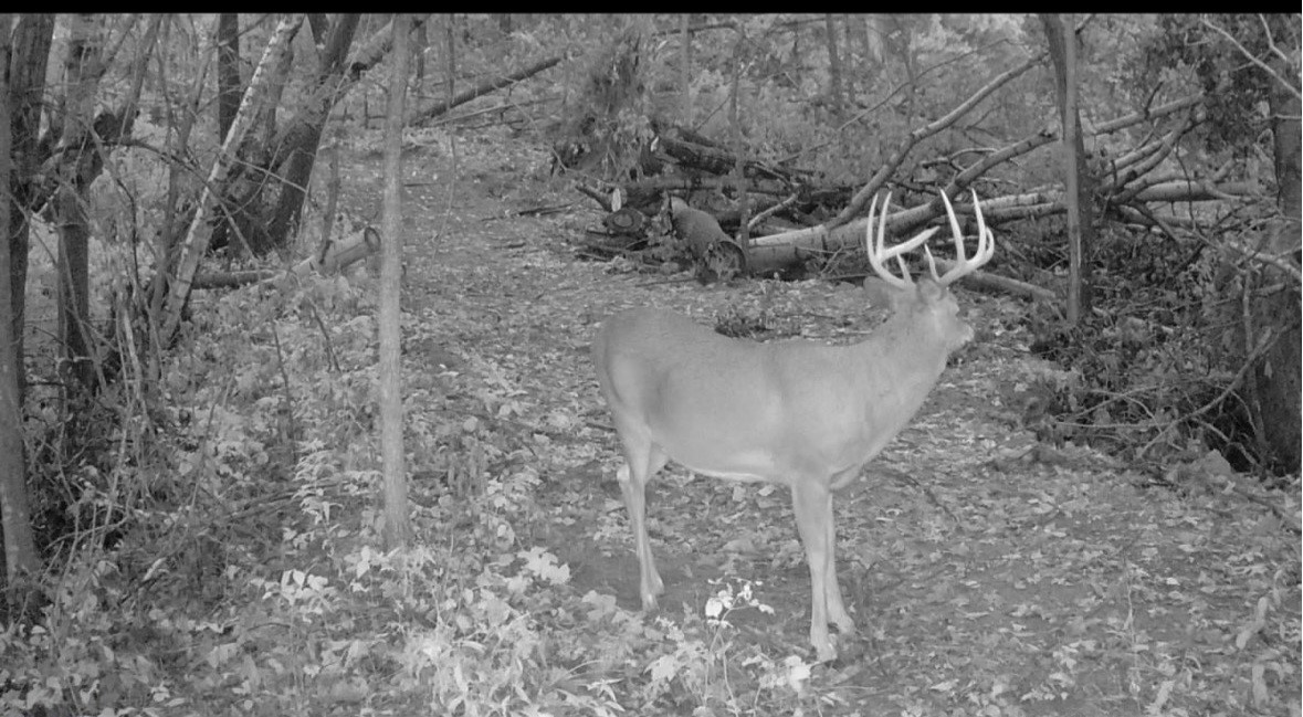0 County Kk Property Photo 59
