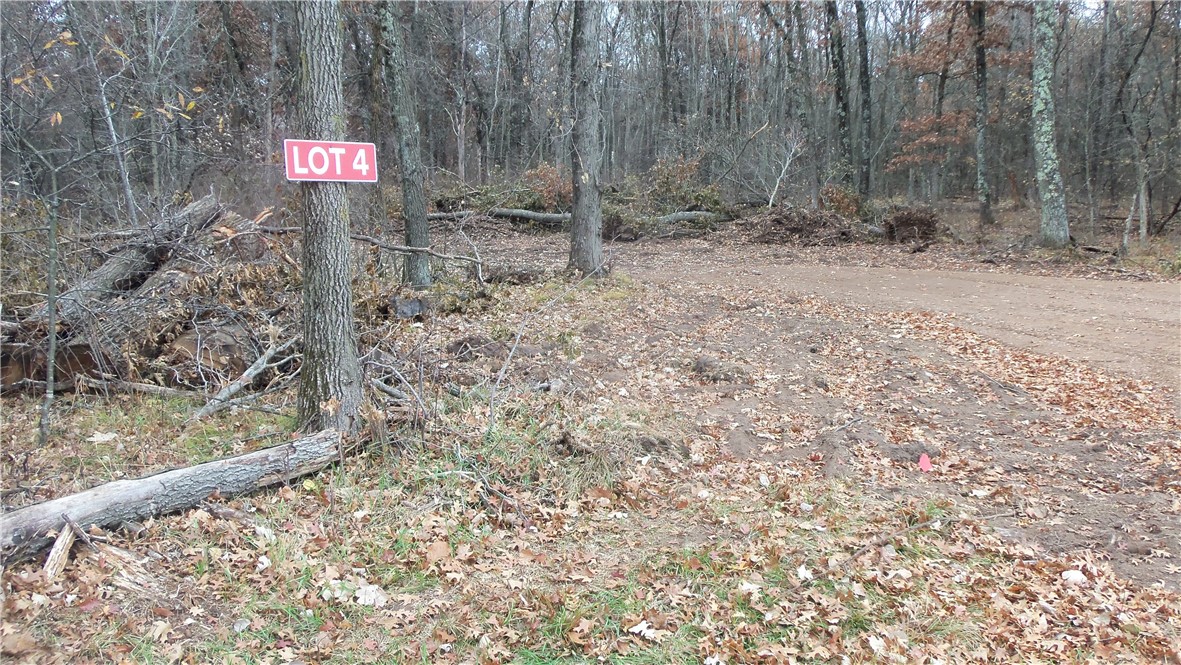 LOT 4 EAST RIVER RD Property Photo 1