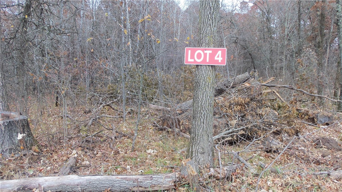 Lot 4 East River Rd Property Photo 2