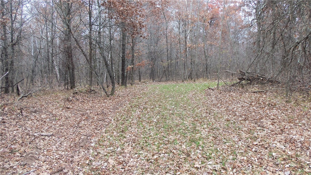 Lot 4 East River Rd Property Photo 4