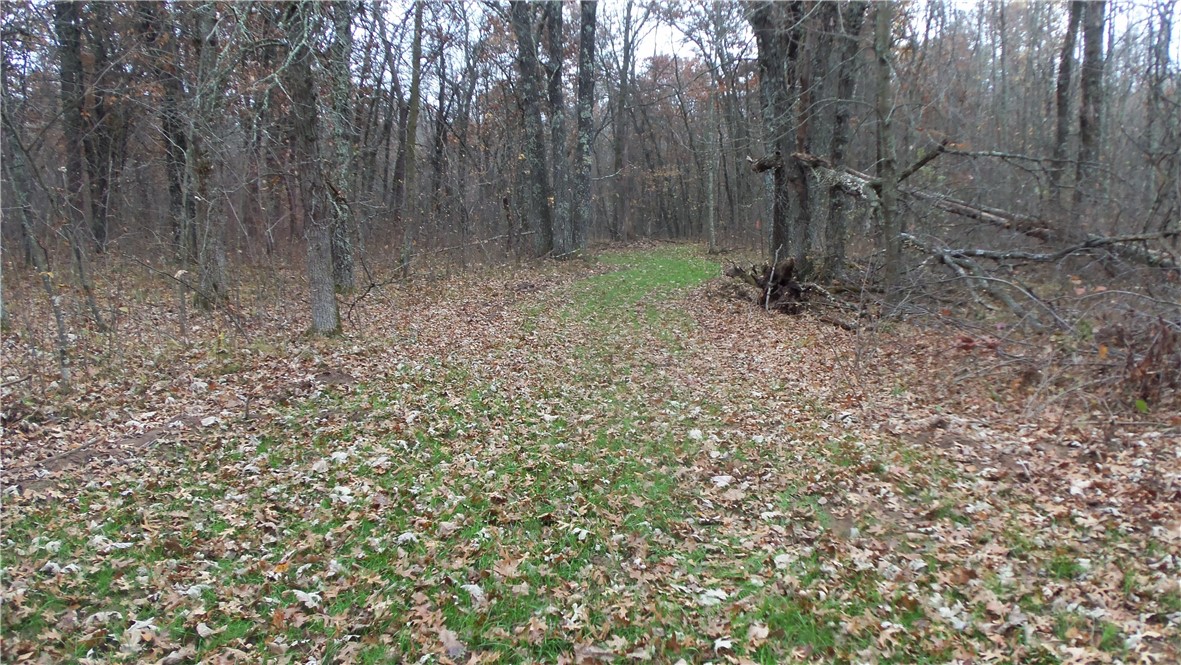 Lot 4 East River Rd Property Photo 5