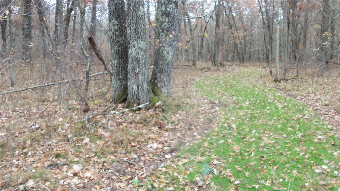 Lot 4 East River Rd Property Photo 6