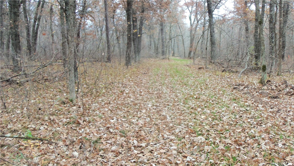 Lot 4 East River Rd Property Photo 7