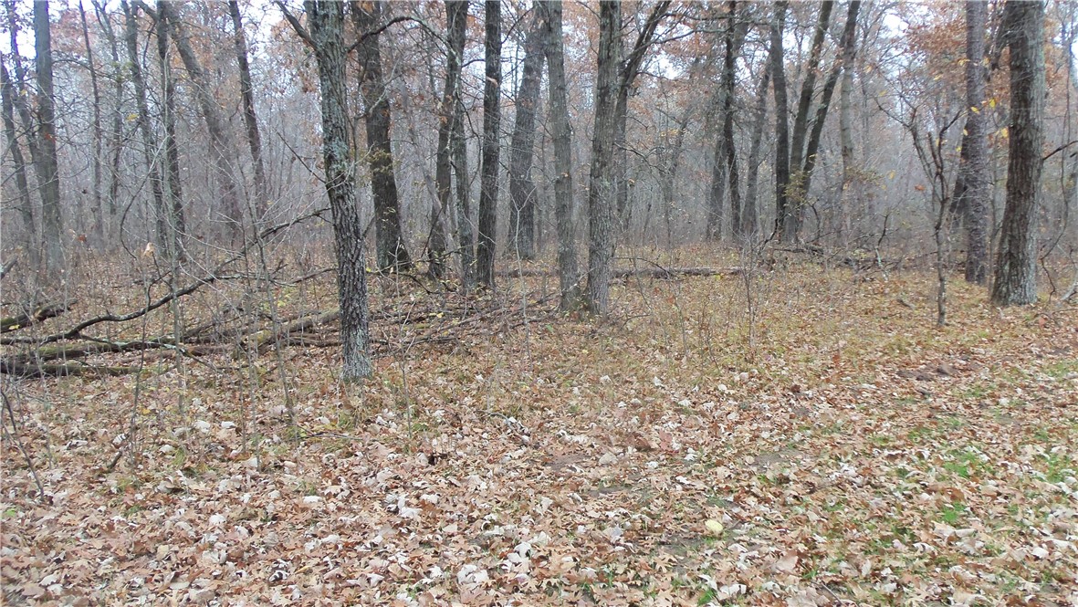 Lot 4 East River Rd Property Photo 8
