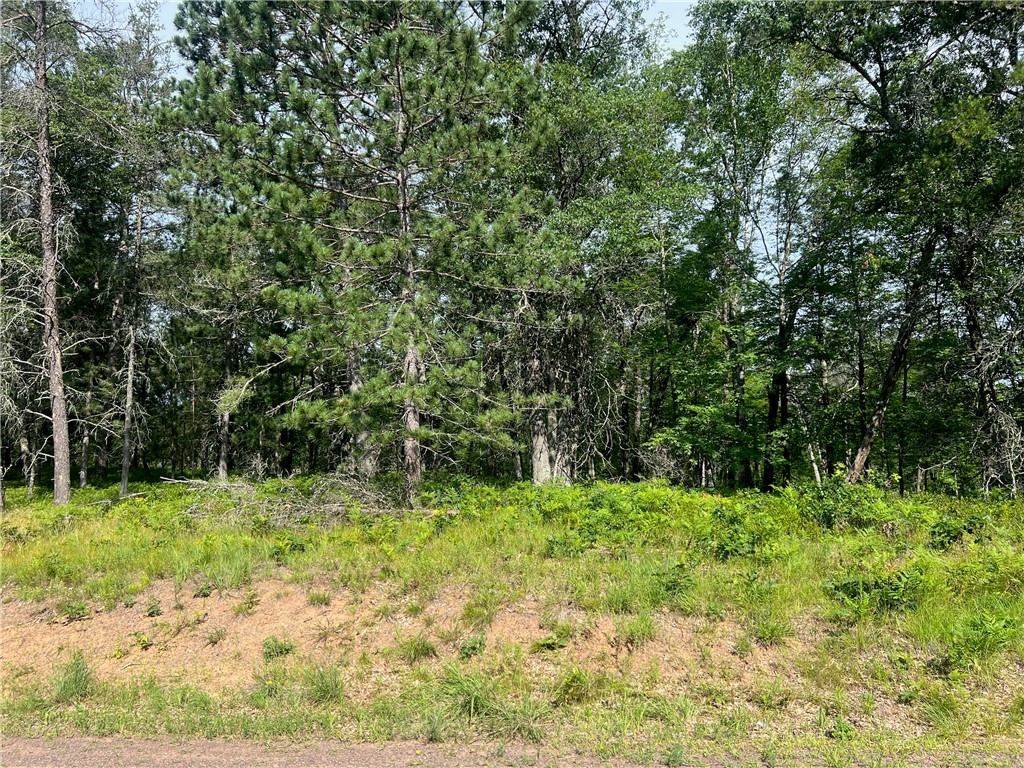 Lot 89 Redwing Trail Way Property Photo 14