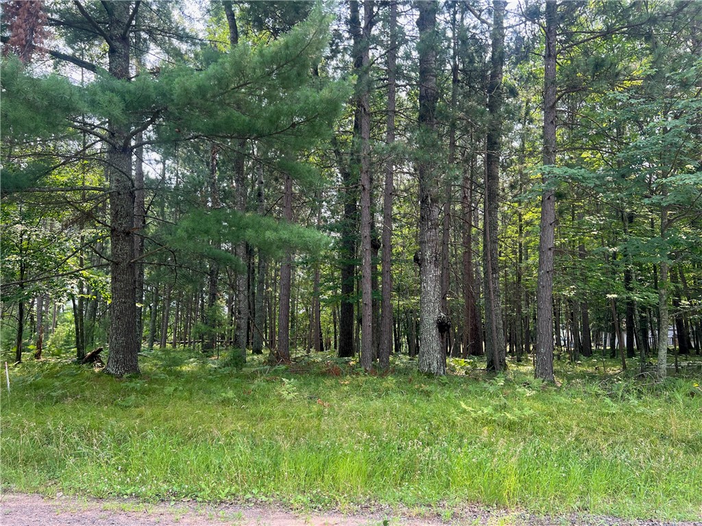 Lot 90 Redwing Trail Way Property Photo 14
