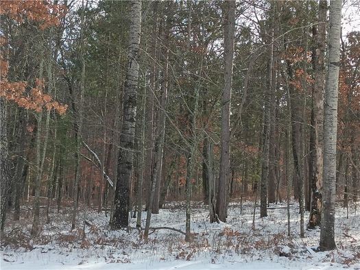Lot 20 Setting Sun Trail Way Property Photo 14