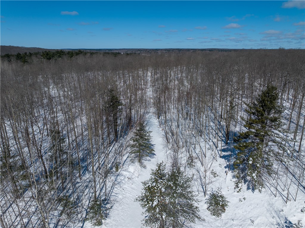 13296n Nova Road Property Photo 10