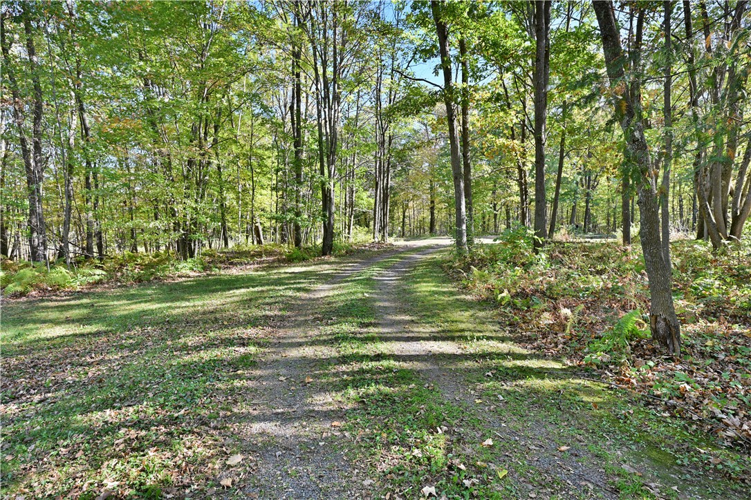 N9161 Shady Lane Property Photo 41