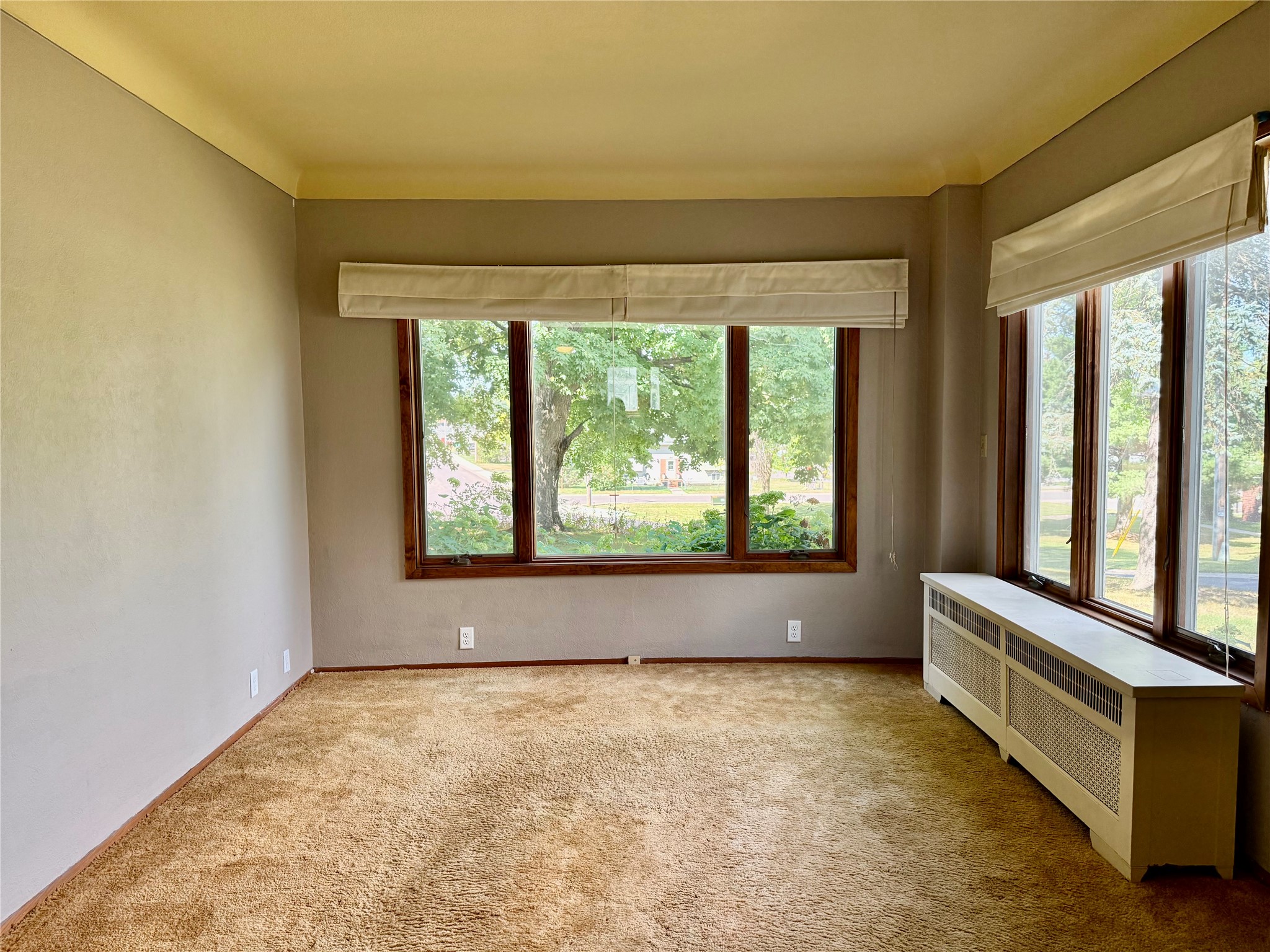 1045 Grove Street Property Photo 15
