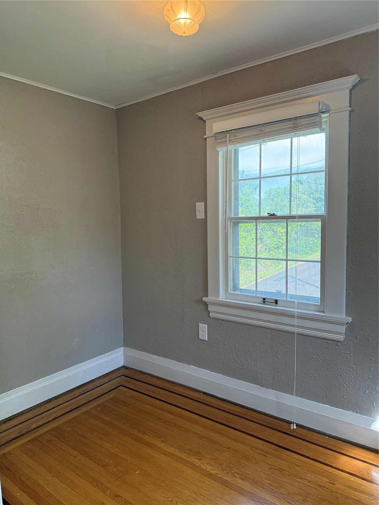 1045 Grove Street Property Photo 23