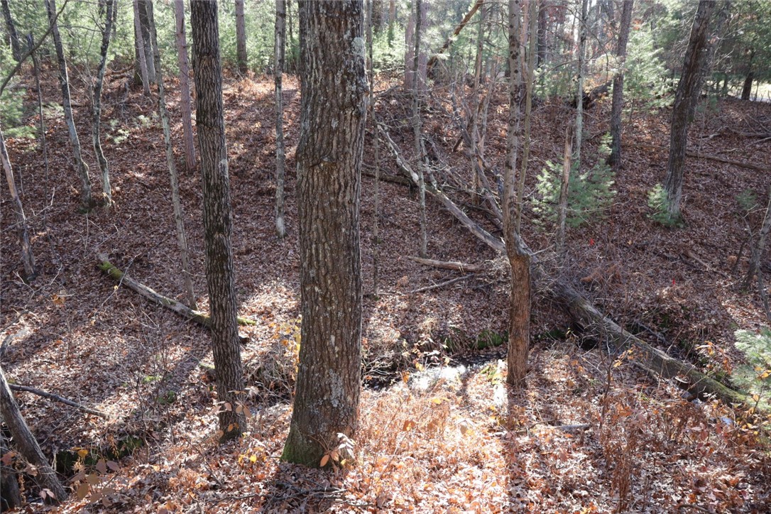 N8724 Lakeside Road Property Photo 13