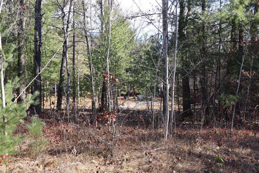 N8724 Lakeside Road Property Photo 15