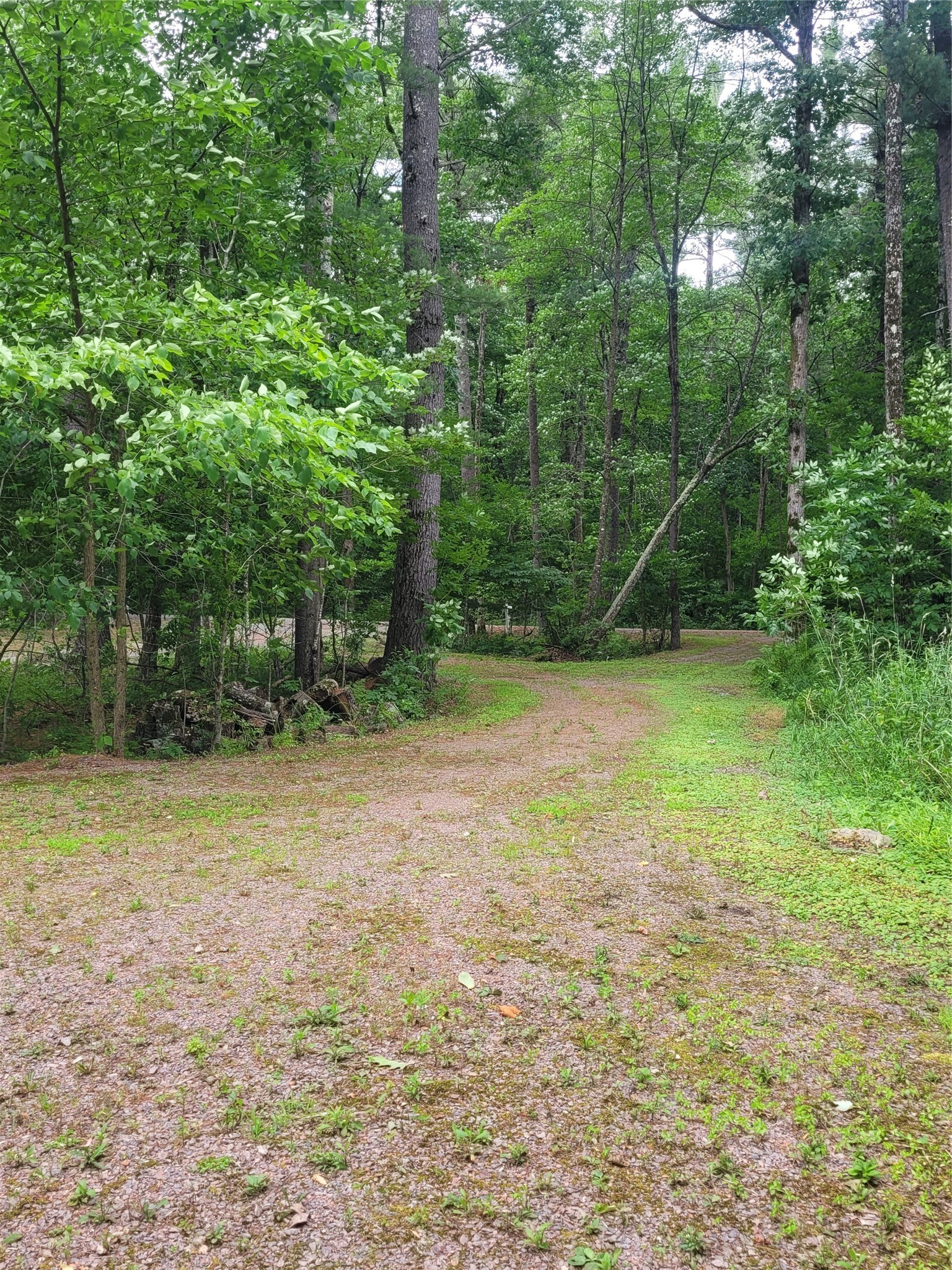 N899 Resewood Property Photo 19