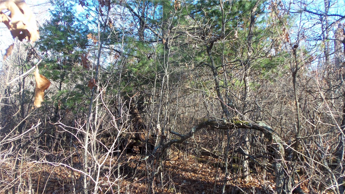 Lot 2 Ferry Rd Property Photo 5