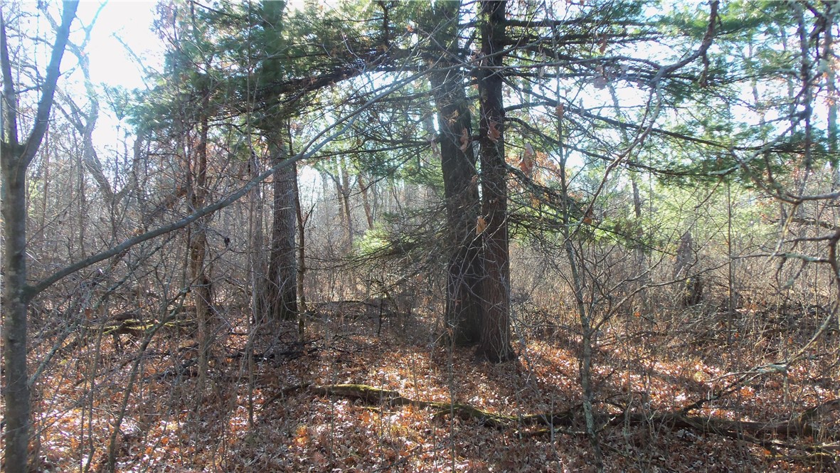 Lot 2 Ferry Rd Property Photo 7