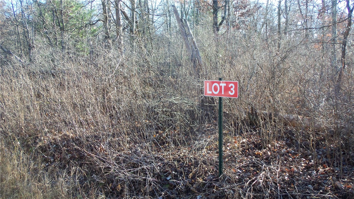 Lot 3 Ferry Rd Property Photo 1
