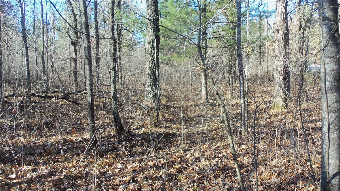Lot 3 Ferry Rd Property Photo 5