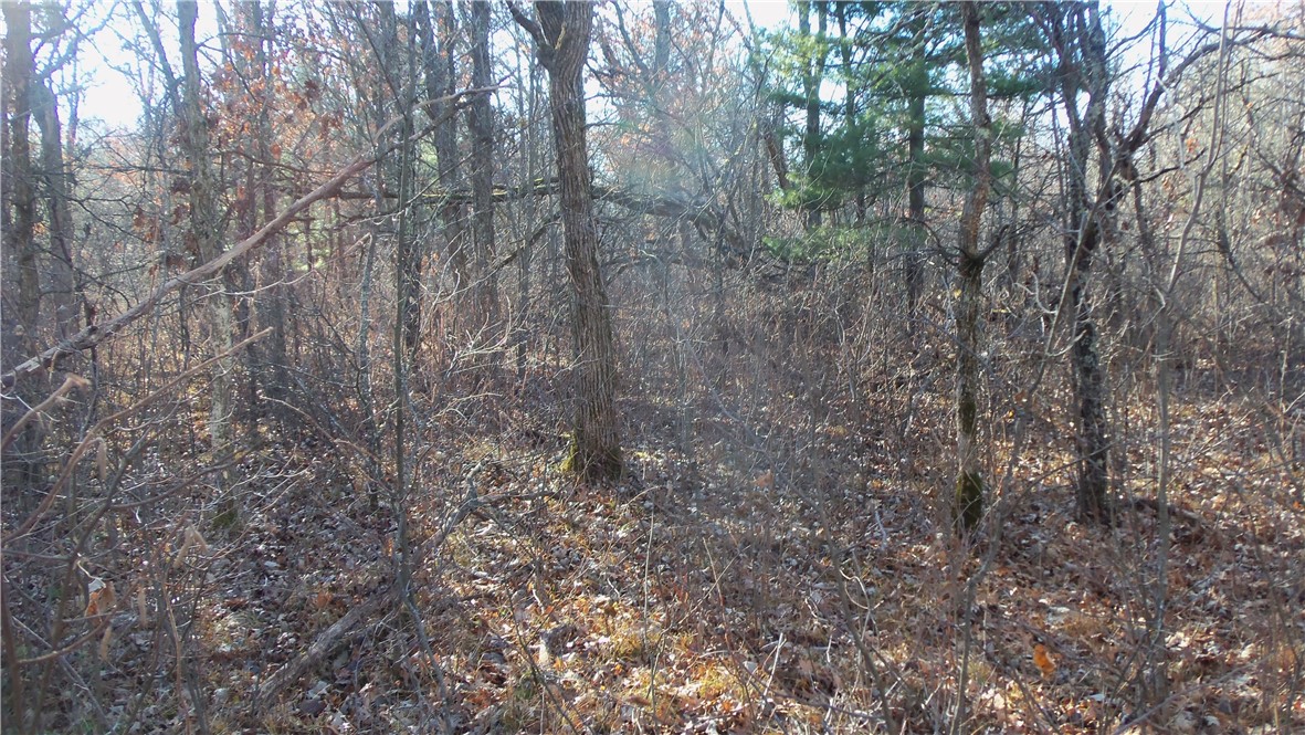 Lot 3 Ferry Rd Property Photo 7