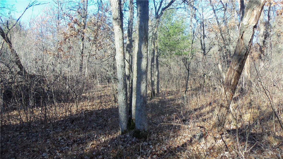 Lot 3 Ferry Rd Property Photo 8