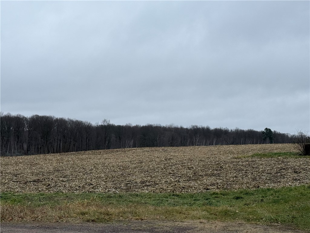 1597453 Property Photo 1