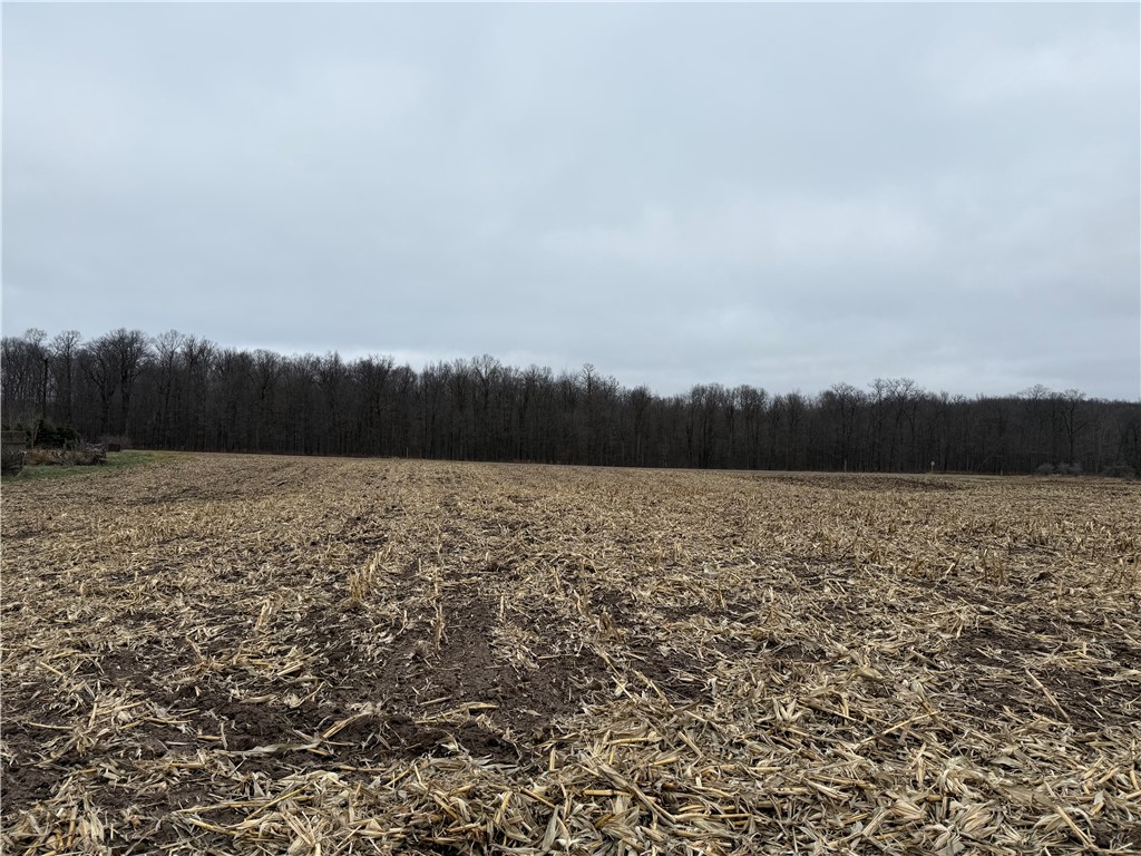 1597453 Property Photo 2