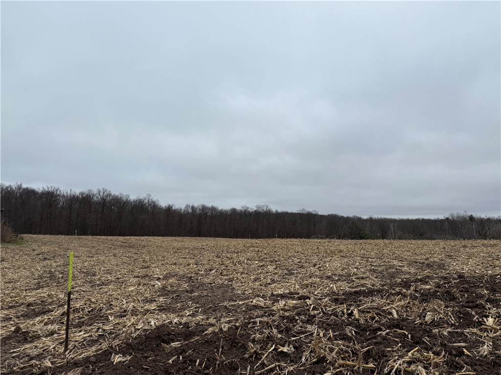 1597453 Property Photo 4