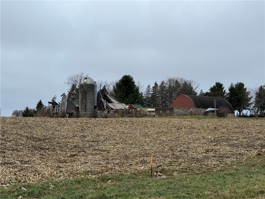 1597453 Property Photo 6